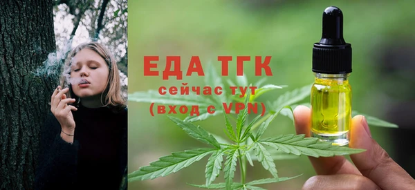 дмт Инсар