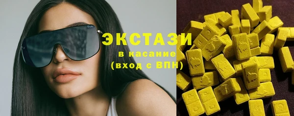 стаф Инта
