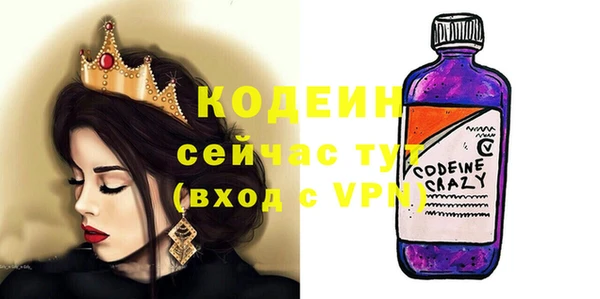 дмт Инсар