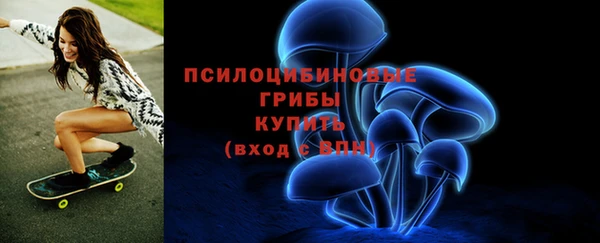 дмт Инсар