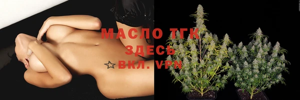 стаф Инта