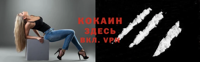 стаф Инта