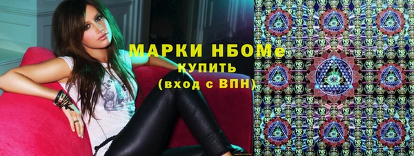 стаф Инта