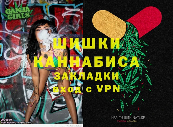 стаф Инта