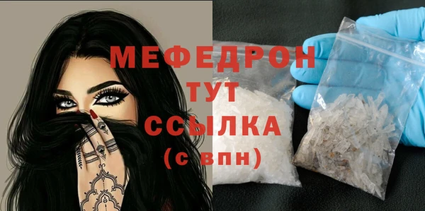 стаф Инта