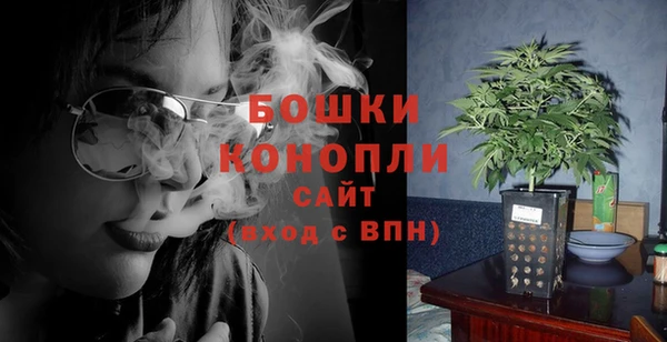 стаф Инта