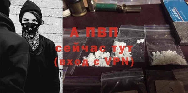 дмт Инсар