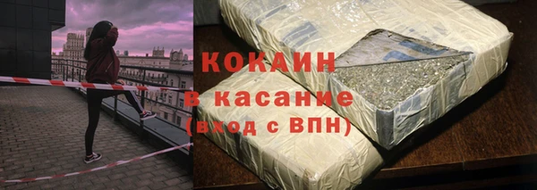 стаф Инта