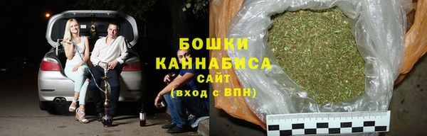стаф Инта