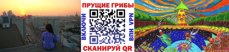 Купить закладки  Кодинск  Галлюциногенные грибы мухоморы 